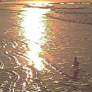 Meet your Posher, Carla